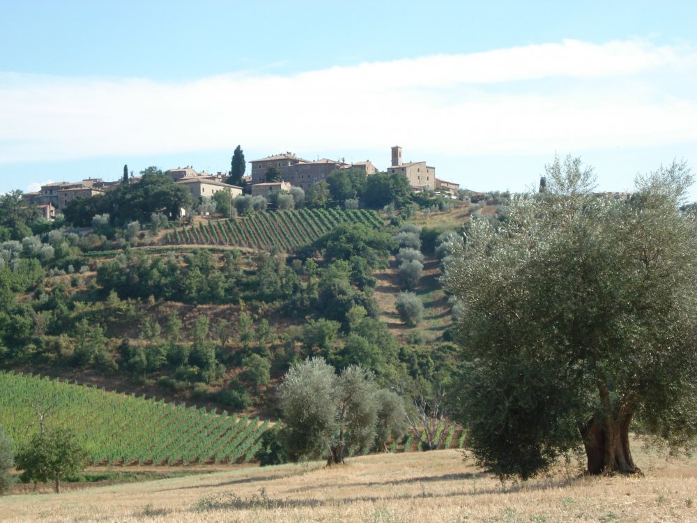 Montalcino 8.JPG