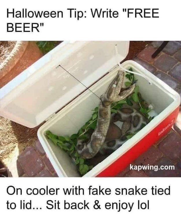 snek.jpg