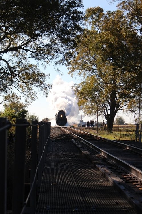 small up 4014 014.jpg