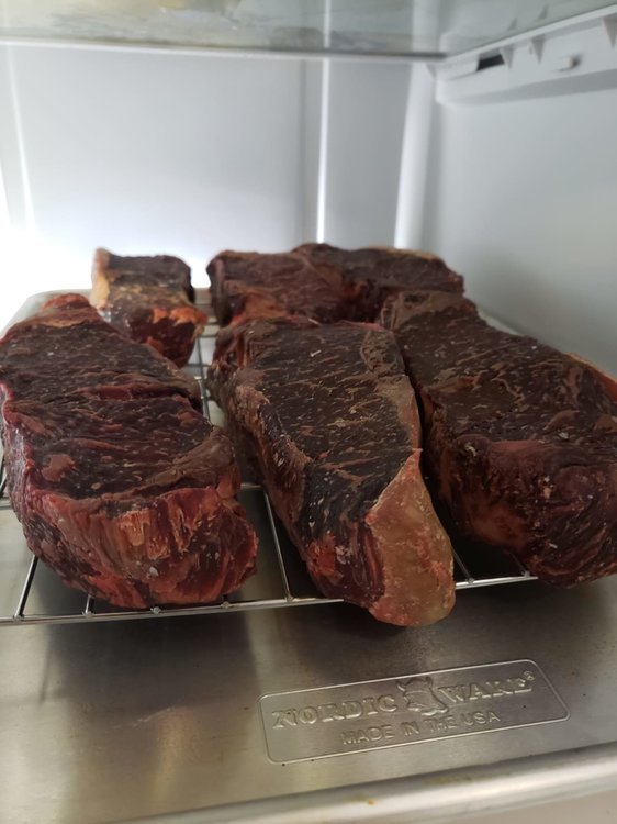 WhatsApp Image 2019-12-28 at 11.06.48 AM.jpeg