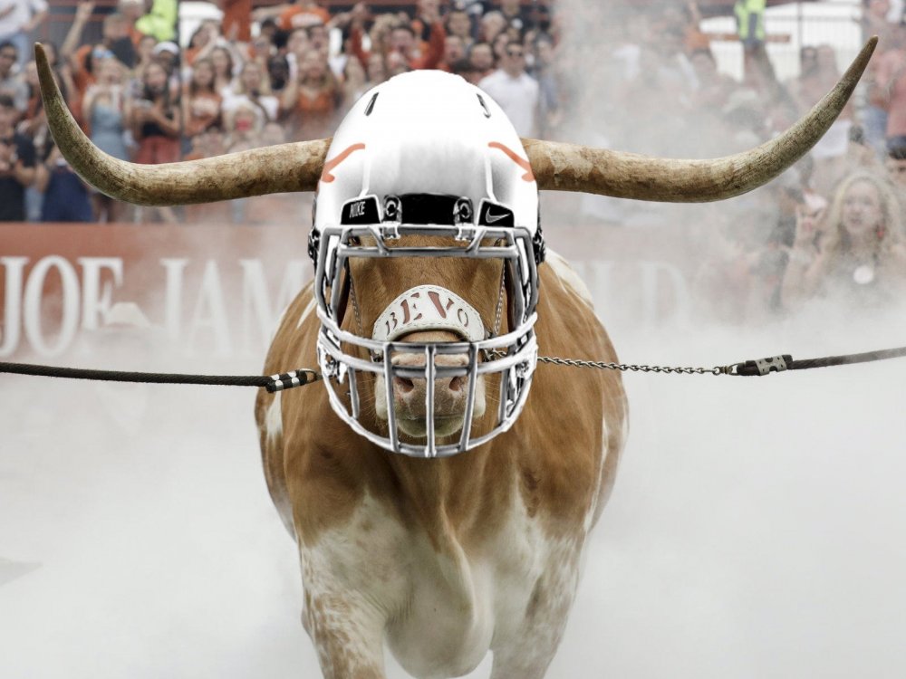 longhorn football.jpg