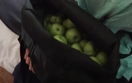 apples.PNG.32ec22322bd611f394363ed5f23833fc.PNG