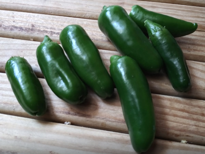jalapenos.PNG.b0d4c7eaf14bf15bc678559fc1cc4820.PNG