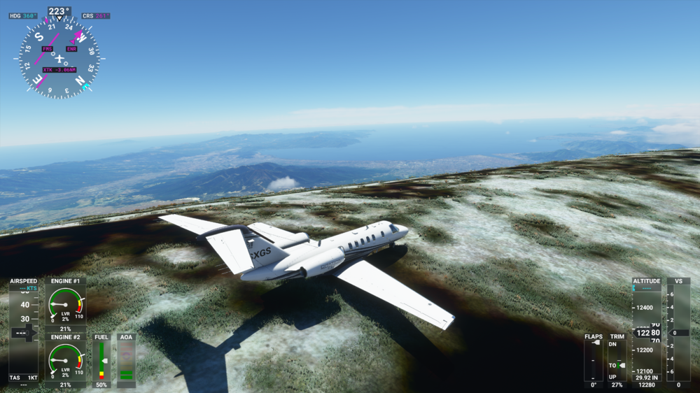 Microsoft Flight Simulator 8_30_2020 10_02_43 PM.png
