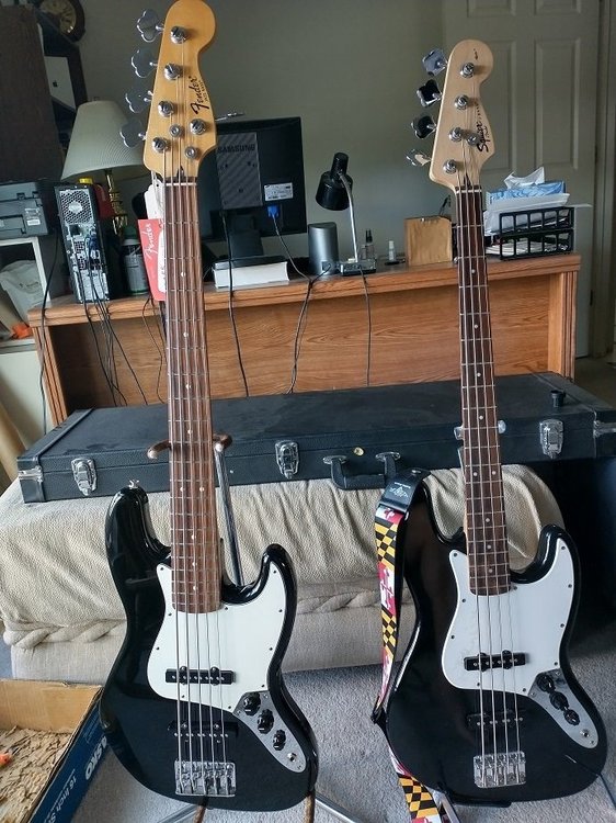 twinbasses.thumb.jpg.f50508def694ee193e3d040787205fff.jpg