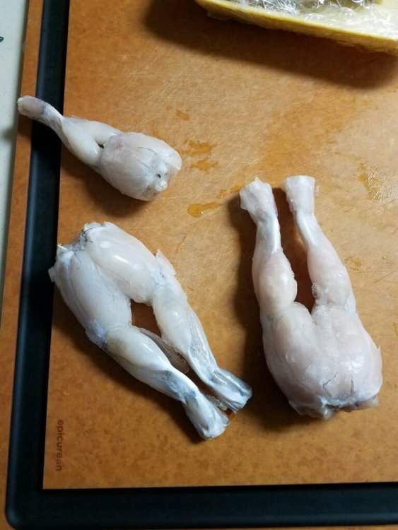 imagejpeg_0 (14).jpg