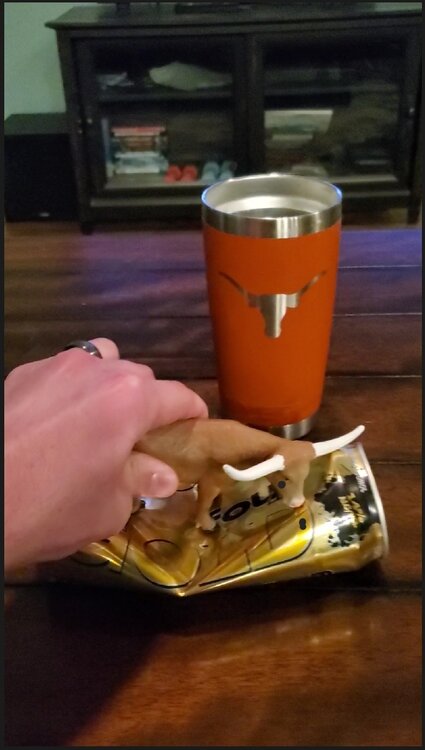 Screenshot_20201229-214009_Video Editor.jpg