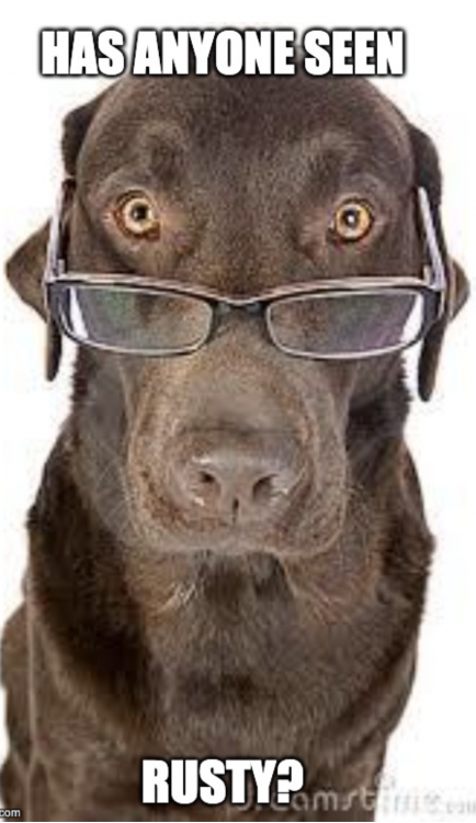 Screen Shot 2020-12-24 at 8.55.53 AM.png