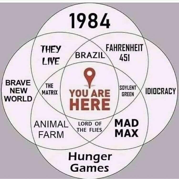 aa venn diagram.jpg