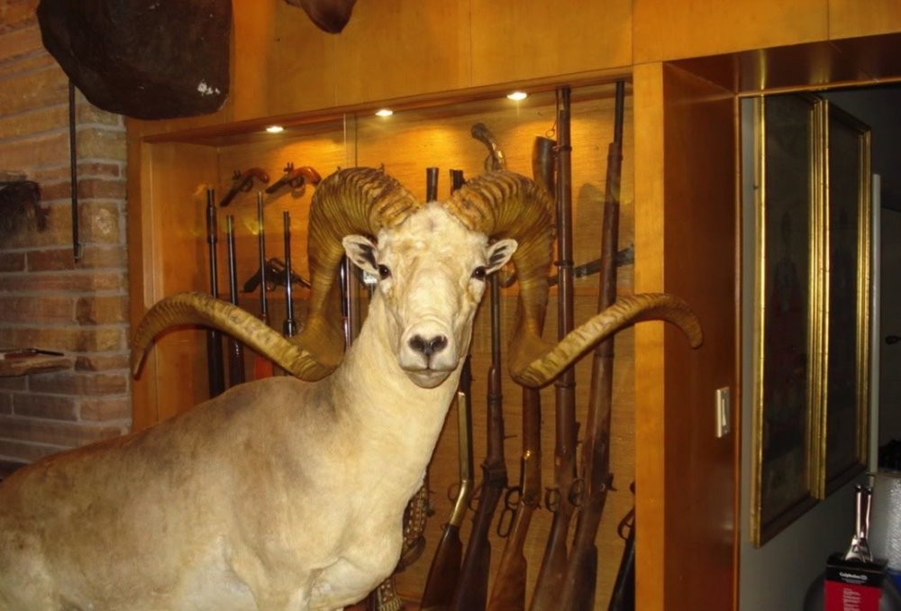 Image 2-4-21 at 8.10 AM.jpeg