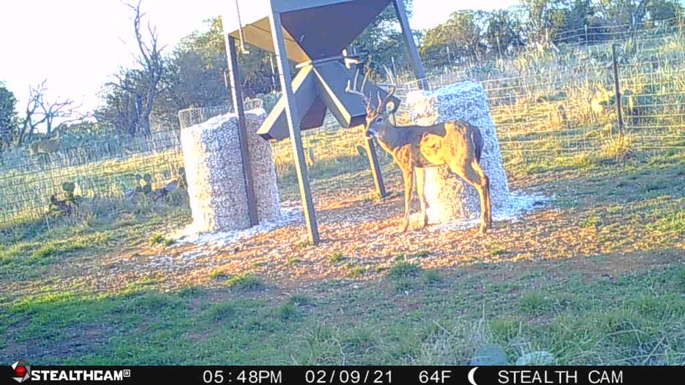 863900042140423_09022021180448034_45 (1).JPG