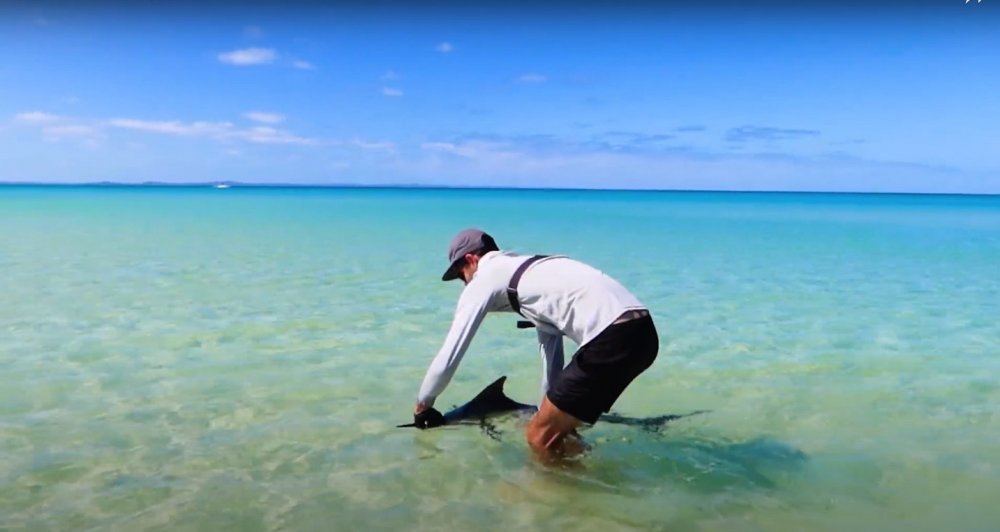 Image 2-24-21 at 2.02 PM.jpeg