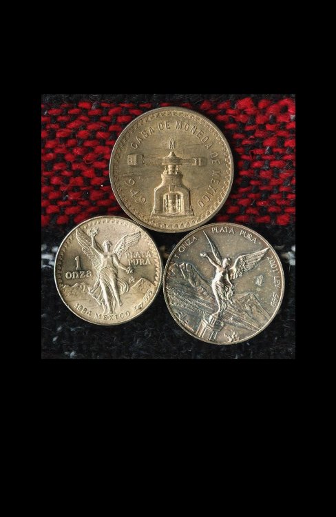 TresOnzas1300x2000 copy.jpg