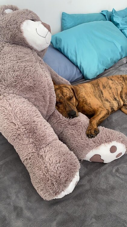 tigger and reinhard 3-24-21.jpg