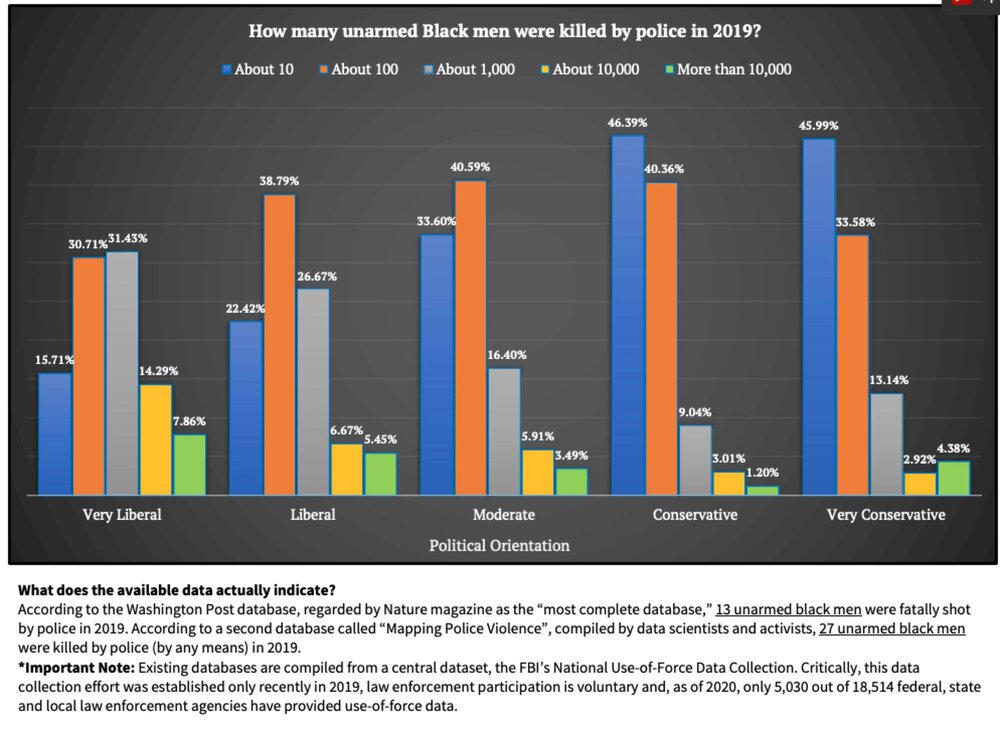 blm misperception.jpg