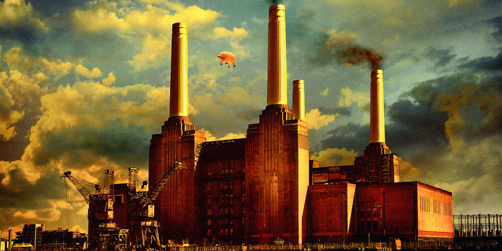 Algie-the-Pink-Floyd-pig.thumb.jpg.0088c1d18ba252baeff6f10763b5f8a3.jpg