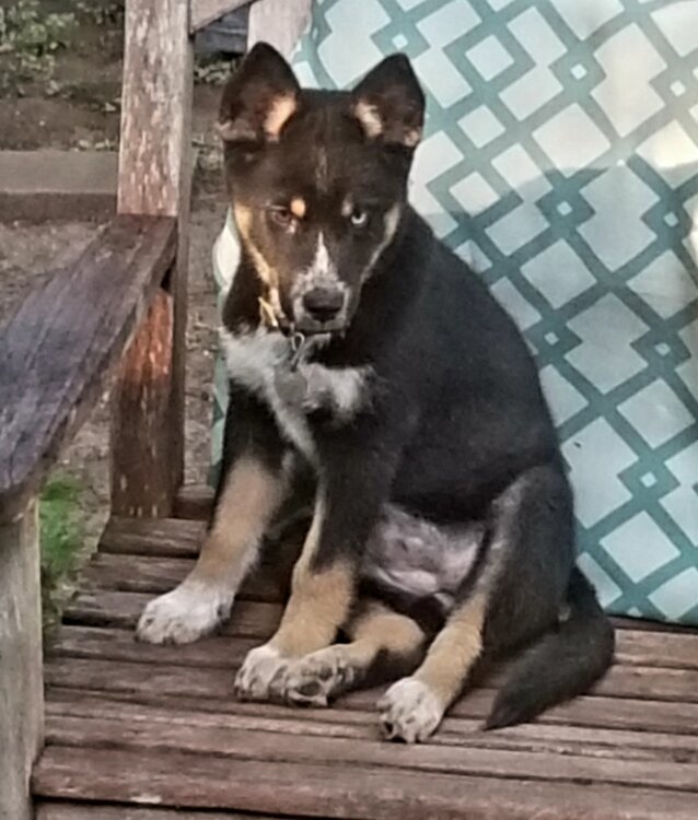 Screenshot_20210520-155644_Amazon Photos.jpg