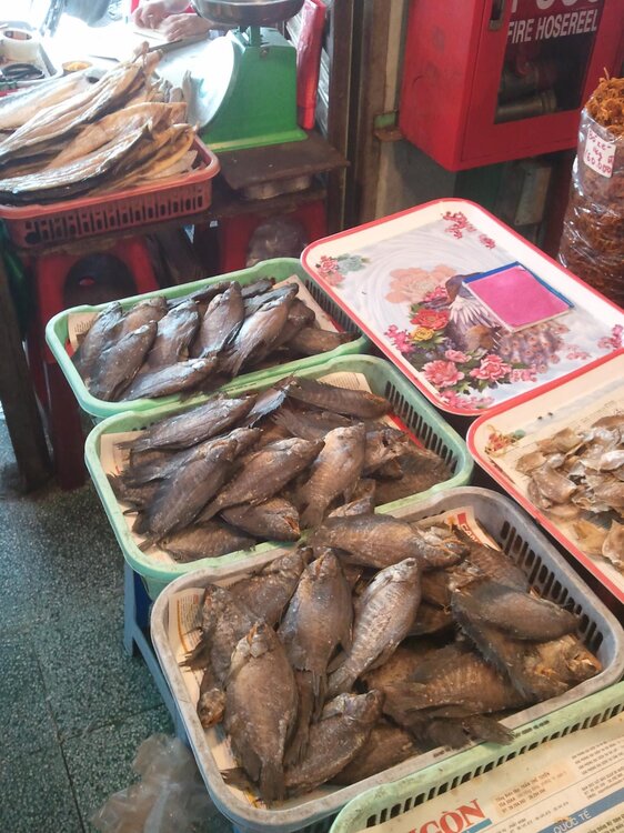 1841070208_Wetmarkets2.thumb.JPG.371152bd7489ccbdfe30a24da6030911.JPG