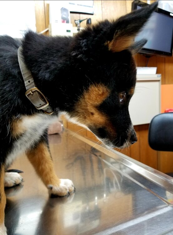 Screenshot_20210623-102642_Amazon Photos.jpg