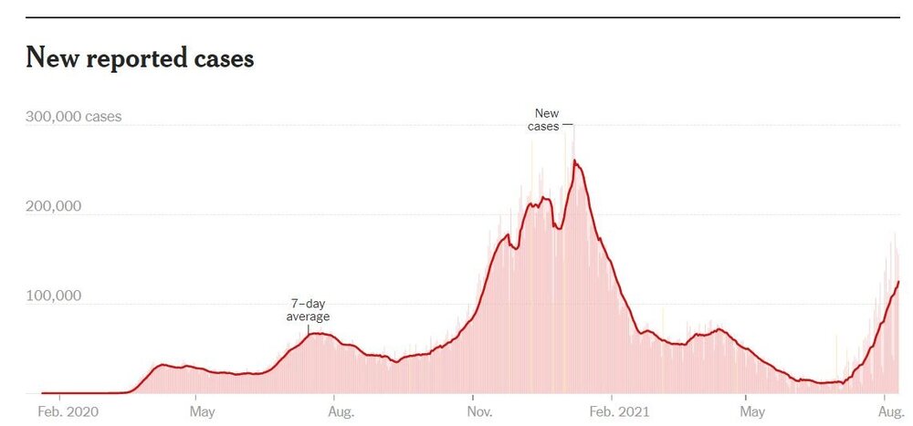 Capture - Copy (2).JPG