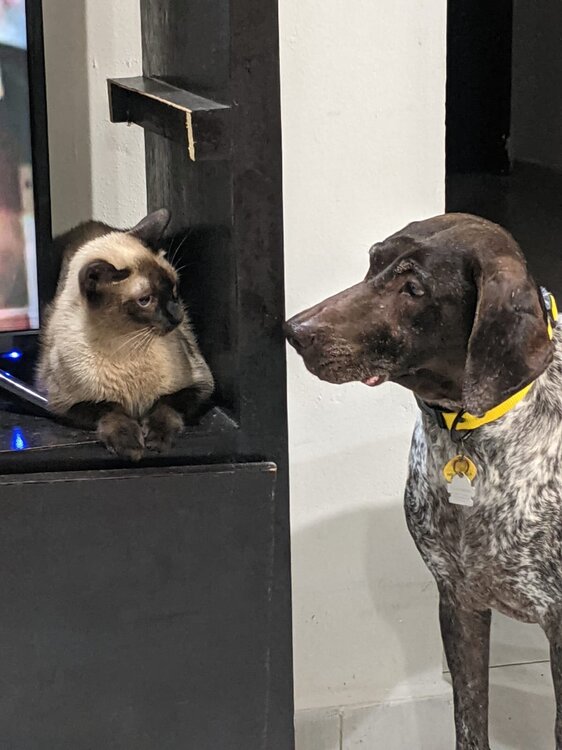 sprinkles and Ikal.jpg