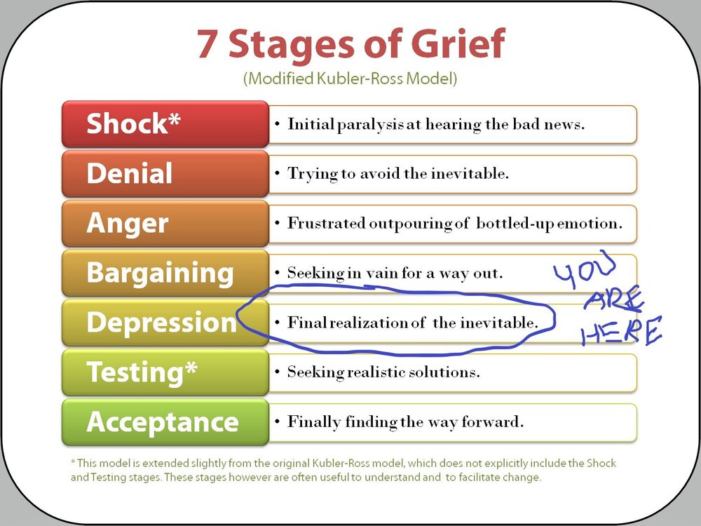 5-stages-of-grief-kubler-ross-22.thumb.jpg.9087068513ff4e7e330e6dc251052ed7.jpg