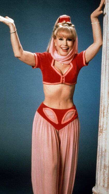 Barbara_Eden_i_dream_of_jeannie_5_5_20_gehpatc4yw.jpeg