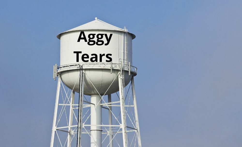 Aggy Tears.jpg