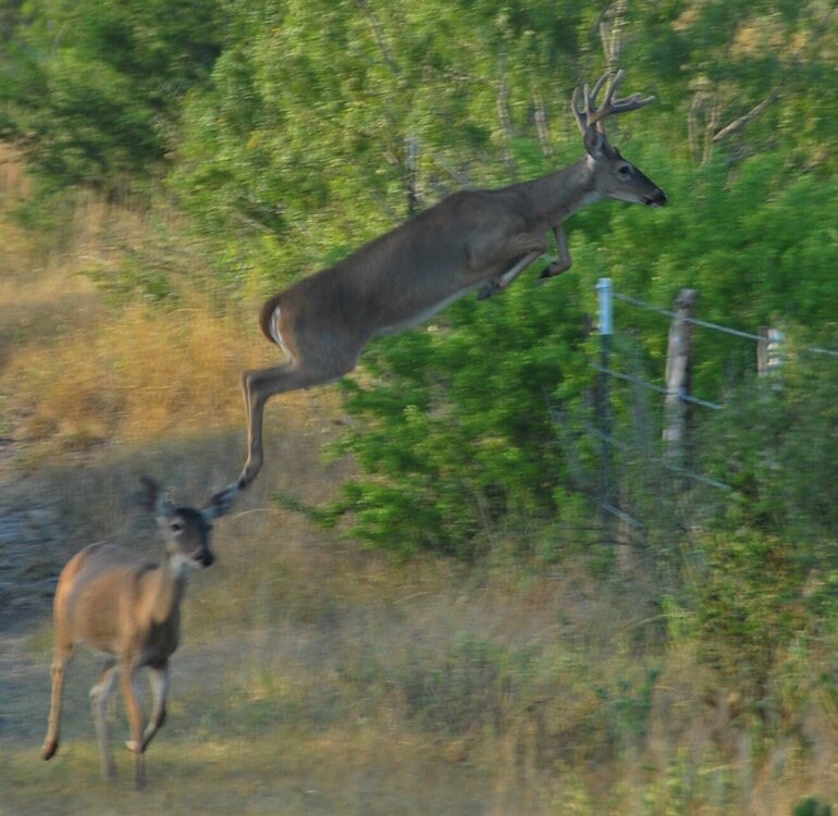 6 or 8 pt NW corner.jpg