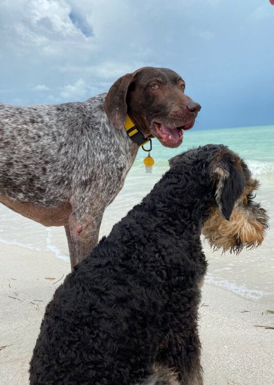 sprinkles photobomb.jpg