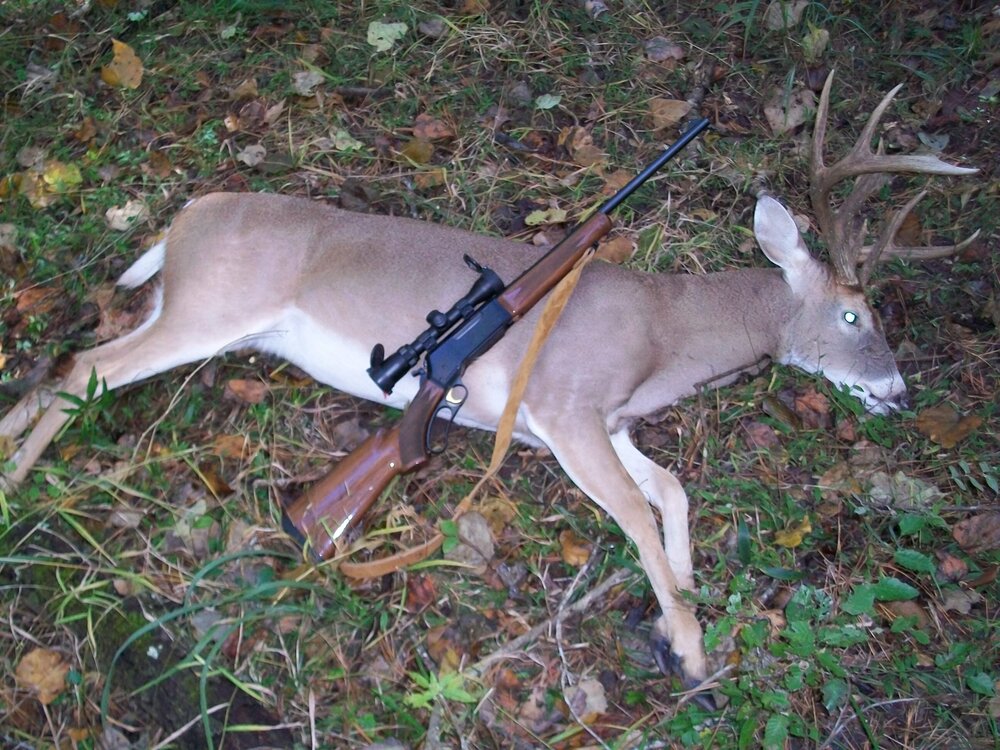 BLR 358 with Buck.jpg