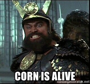 corn-is-alive.jpg.2d2dd2f8bd25a06fa76fbf517e4fc9e5.jpg