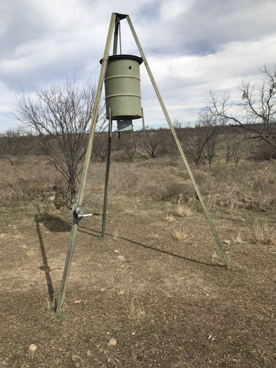 1436774311_Tripodfeeder.thumb.JPG.f7b0967f1253d51c581db4b411f9404a.JPG