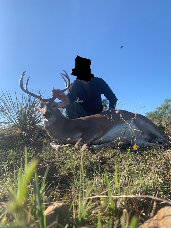 Bow Shot Buck edited.jpg