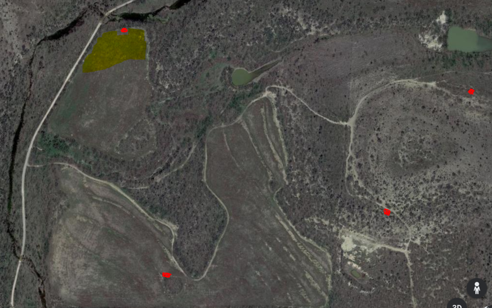 Topo large field.PNG