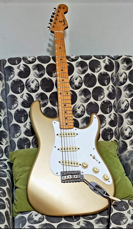 Screenshot_20211126-173942_Amazon Photos.jpg