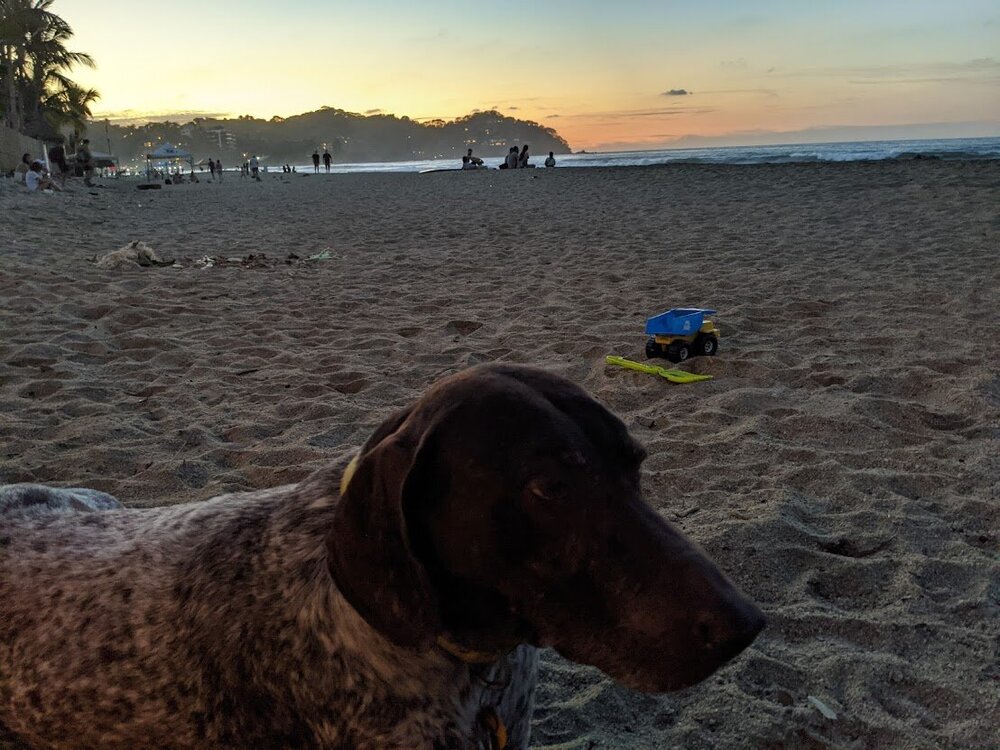 sprinkles sayulita.jpg