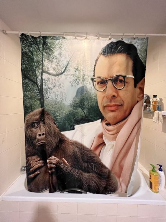 1751821206_goldblumshowercurtain.thumb.jpg.36543875aa08be99465d9e6bb2d0798d.jpg