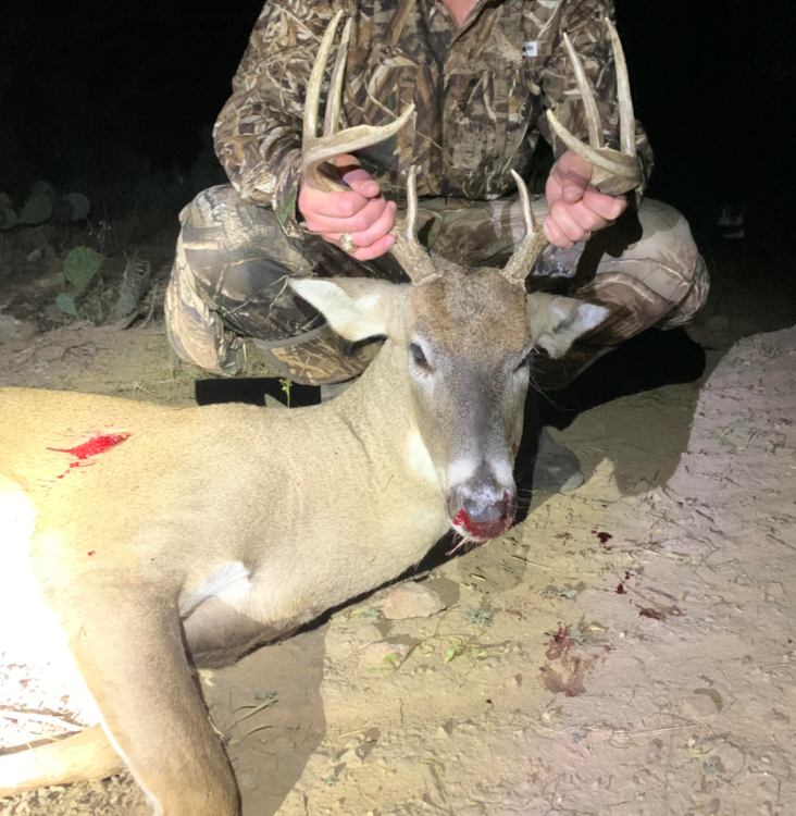 Buck NOV.PNG