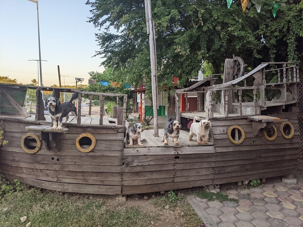 pirate ship dogs.jpg