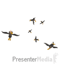 vultures_circling_md_wm.gif.8b26fd9faaf46ed973bb4521fa9c7c45.gif