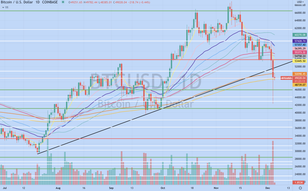 Screen Shot 2021-12-04 at 8.36.47 PM.png