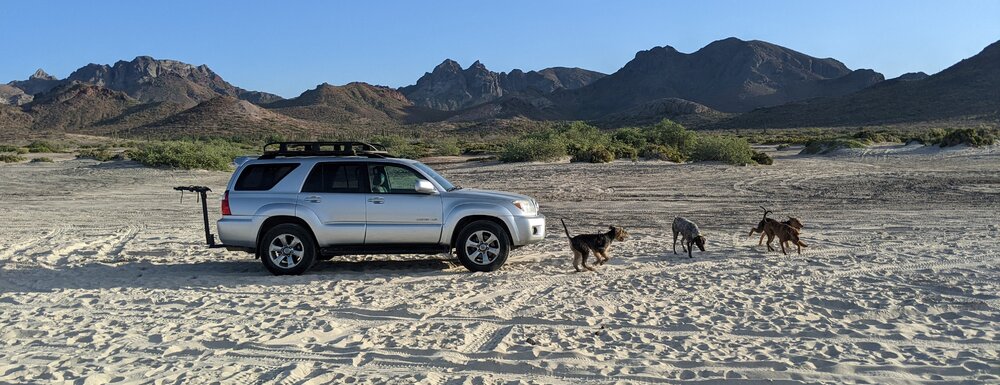 PXL_20211209_232714144 (2).jpg