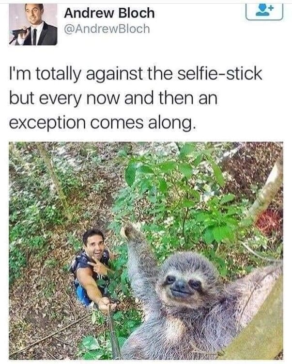 selfie.jpg