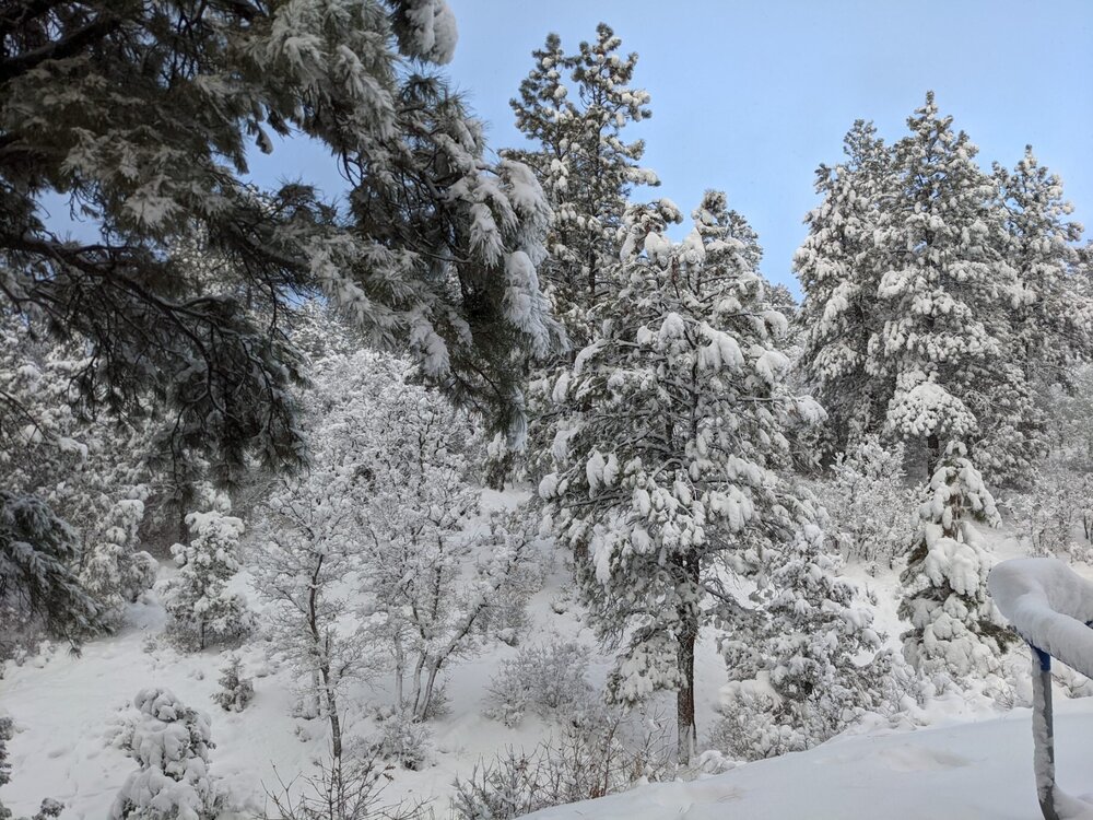 messages_0 (14).jpeg