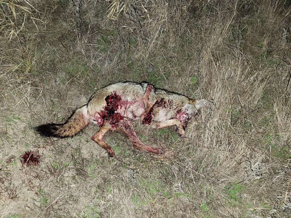 2022-01-26 20.03.08.jpg