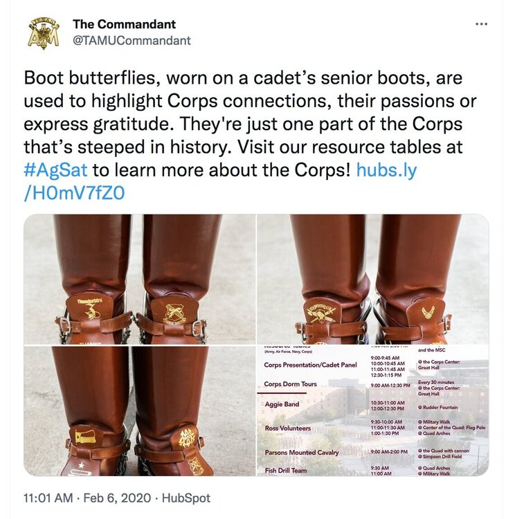 aggy boot butterflies.jpeg