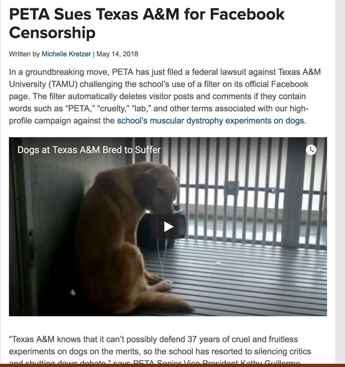 peta a&m dog.jpeg
