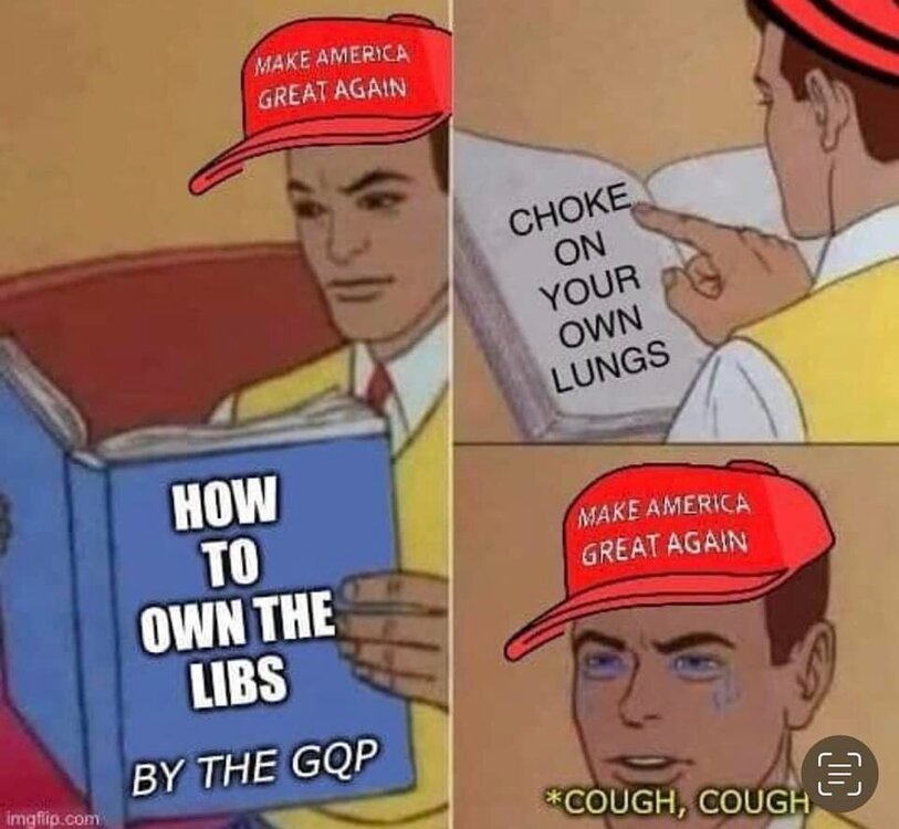 how to own the libs.jpg