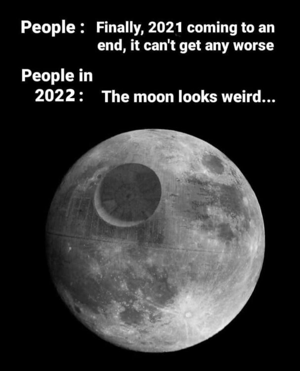 271383823_459581348999589_7317284807450971553_n (1).jpeg